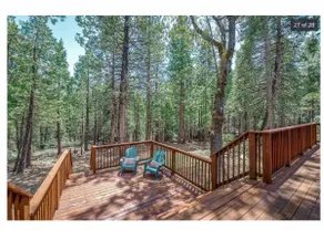 Cozy Cabin Getaway Near Bear Valley with WiFi - Image 5