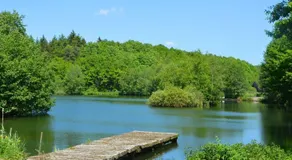 Amazing country house, 2 lakes, 7ha of nature - Image 2