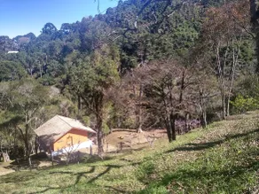 Chalet in the woods - (Gonçalves Region) - Image 2