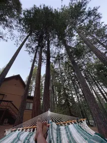 Rancho Relax-o nestled on 1ac lot w/ flat driveway - Image 4