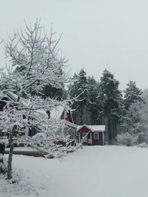 Cozy cottage among pine trees. - Image 5