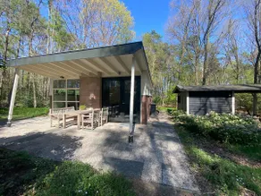 Tiny forest cabin with wood stove - Image 3