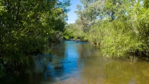 AROONA FLATS  -  Modern Home On Acerage With Private River Frontage - Image 5