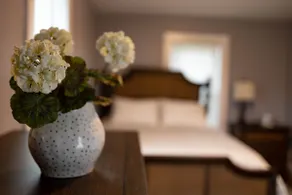 Cheerful 3-Bedroom Home on the Hill - Image 2