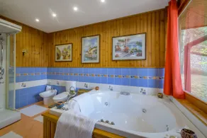 Deluxe Villa with Pool, Sauna and Fire Place - Image 3