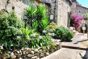 Rogliano Maison de charme avec vue panoramique - Image 4