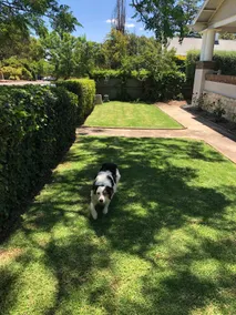 Poppy’s Place, a beautiful family & pet friendly1920’s bungalow. - Image 2
