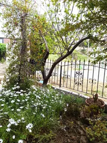 Large Apartment with Garden 500m from the Sea - Image 3