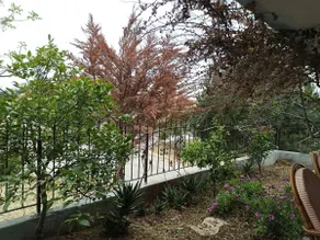 Large Apartment with Garden 500m from the Sea - Image 4