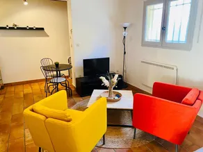 Studio île de la Barthelasse à deux pas du centre - Image 2