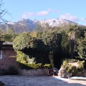 Lovely place with a pool in summer - Image 4