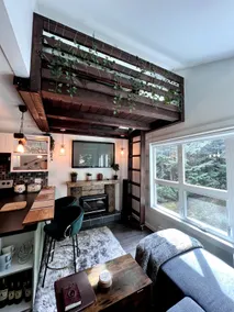The Gondola Village Treehouse - Image 4
