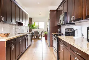 Tropical Green Home in Hollywood, Florida - Image 5