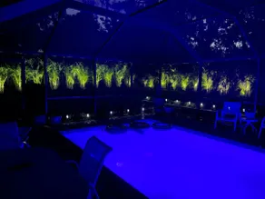 Palm Oasis – Toller privater Pool, Spa und Waffelbar!!! Winterrabatte!!!! - Image 4