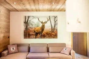 Top 9 app with balcony in the Alpin Chalet, top floor - Image 3