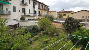 Pepe's House - Image 3