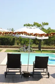 Casa degli Ulivi, independent and surrounded by greenery - Image 3