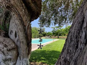 Casa degli Ulivi, independent and surrounded by greenery - Image 5