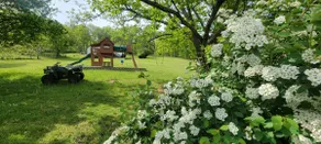 The Weiss Estate - Image 3