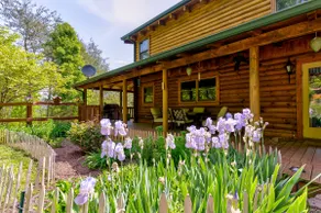 Private Wooded Cabin Near Dollywood with Game Room - Image 3