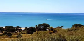 The Selinunte Reed Bed: The Old Marina - Image 4
