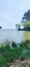 ”Elderberries” Chesapeake Bayfront Cottage - Image 2
