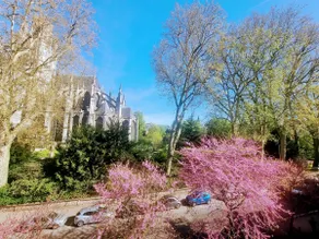 SPA Bath – View of the Abbey – Car Park by beds76 - Image 4