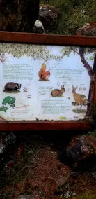Hedgehog's Hideaway,a peaceful retreat in Nenthead - Image 5
