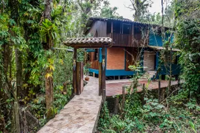 Treehouse overlooking the river - Image 2