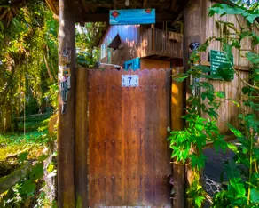 Treehouse overlooking the river - Image 3