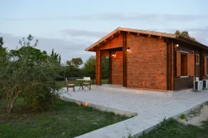 Naturae - Image 4