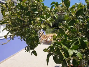 Ionian Blue House 3BR Retreat Near Myrtos Beach - Image 2