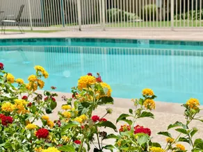 The Beverly Bungalow | Stylish Stay Near Downtown - Image 4