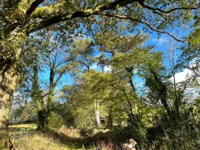 Garden Cottage - Image 3