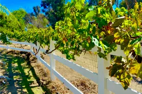 The Wine Country Ranch Retreat with Pool & Spa - Image 3