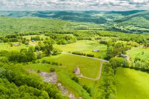Cozy Catskills • Panoramic Views & Year-Round Fun - Image 4
