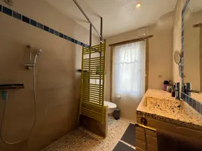 The Blue House - Image 5