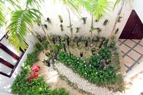 Luxurious Exotic Villa Palapa Arrecife Beach and Golf Club - Image 5