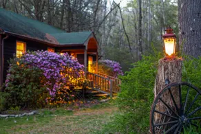 Forest Spa Retreat on Cascading Brook • 90 Min NYC - Image 3