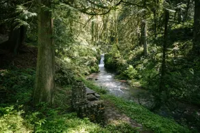 Three waterfalls, a river and Lodge. - Image 5
