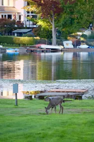 Lake House Retreat: Close to everything - Image 2