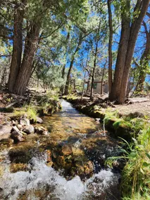 Creekside Magic- The Wake Up Cabin - Image 3