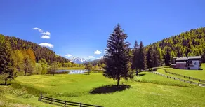 TrivignoLife Charming chalet in the mountains - Image 5