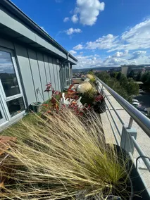 Top Floor 2 Bed Apartment w/ Spacious Balcony area - Image 3