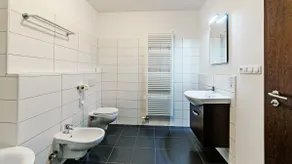 Two-storey Deluxe apartment with terrace - Image 4
