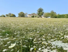 Couples Gite in Valeilles | NEW Air Con 2027 - Image 3