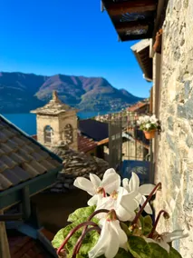 Romantic home stone with amazing view lake of Como and Oleandra - Image 5