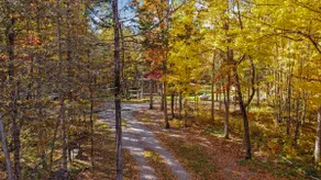 Secluded Forest Retreat with Hot Tub - Image 5