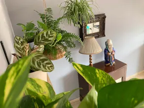 Cool Flat at La Roma - Image 3