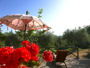 Paradies-Oase Santa Maria. LUNA HOUSE - Image 4